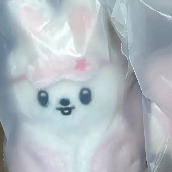 [BUNJANG] Stray Kids Skiz Plush 10cm Ribbit / 스키즈 팬미팅 스키주 플러시 10cm 리빗