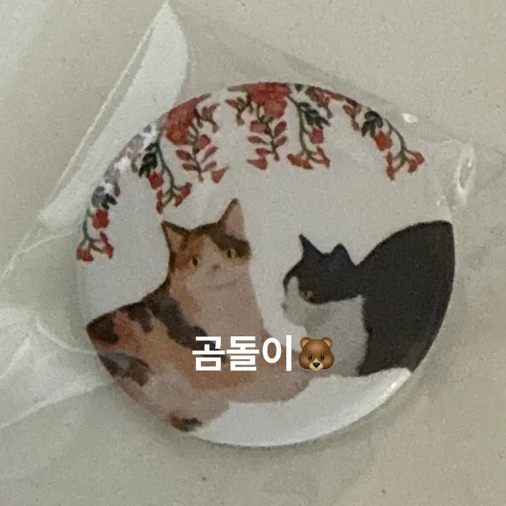[BUNJANG] 21st Century Grand Prince&