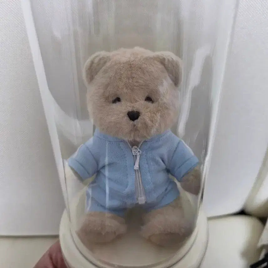 [BUNJANG] Teddy Tales Doll / 테디테일즈 인형
