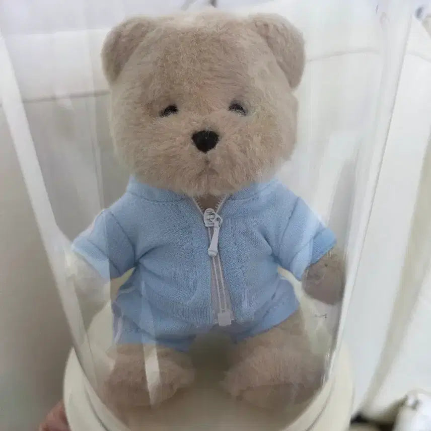 [BUNJANG] Teddy Tales Doll / 테디테일즈 인형