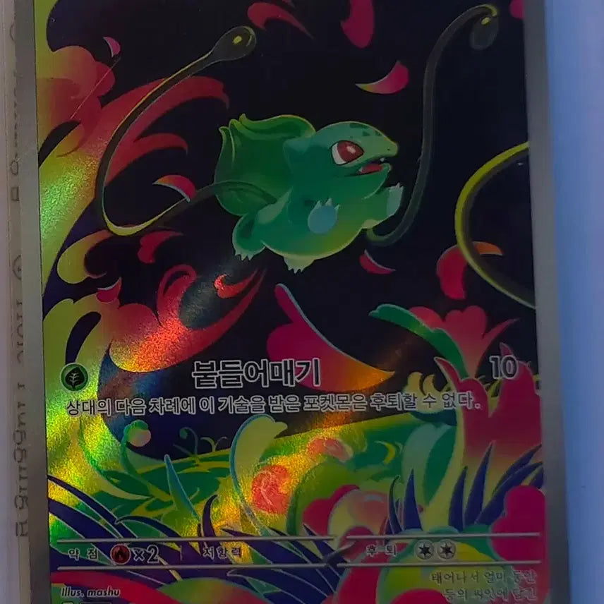[BUNJANG] Pokemon Card Pikachu ex RR, Squirtle AR, Wailord AR Bundle Set / 포켓몬카드 피카츄ex rr,이상해씨 AR 2장 일괄