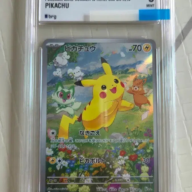[BUNJANG] Pokemon Card Pikachu Promo Japanese (brg9) / 포켓몬카드 피카츄 프로모 일판 (brg9) 판매합니다