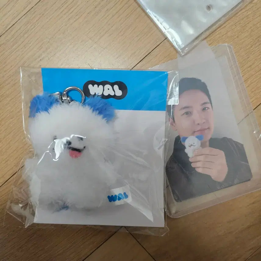 [BUNJANG] Lucy Wal E Keyring (Sealed) + Kwang Il Photocard / 루시 왈이 키링 미개봉+광일 포카