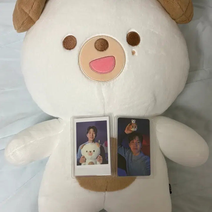 [BUNJANG] DAY6 Dowoon Giant Petit Merz Photocard Set / 자쁘멀 돈 데이식스 도운 자이언트쁘띠멀즈 (포카, 4만원포카 포함)
