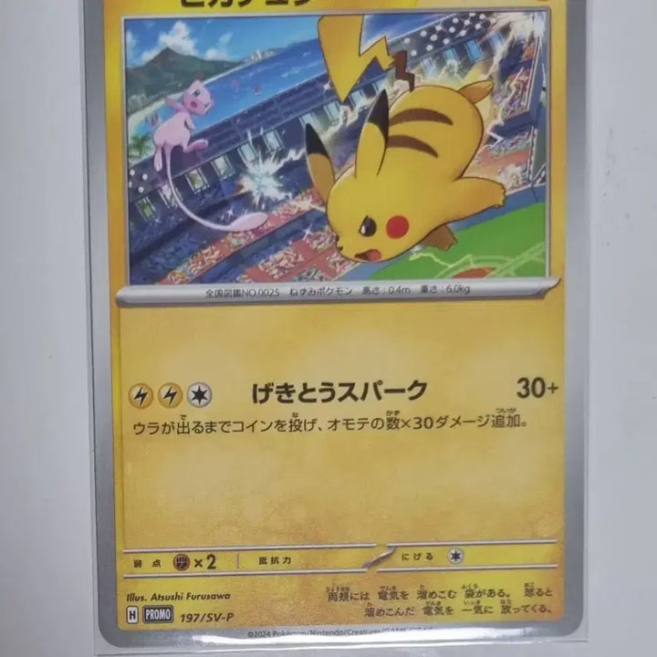 [BUNJANG] Pikachu Gym Promo 3-Card Set / 피카츄 짐 프로모 3종 싸게 판매합니다
