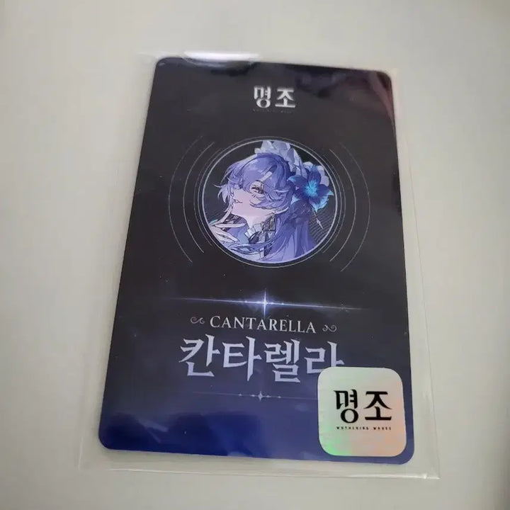 [BUNJANG] Mezzo Cantarella PVC Card / 명조 칸타렐라 pvc 카드