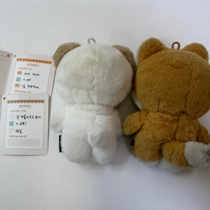 [BUNJANG] Day6 Petit Merz K &amp; Don Bundle Set Plush &amp; Outfits / 데이식스 쁘띠멀즈 케 돈 + 웰투쇼 인형옷