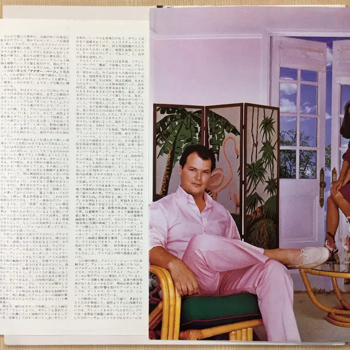 [BUNJANG] Christopher Cross Another Page LP Vinyl / (수입LP) Christopher Cross / Another Page