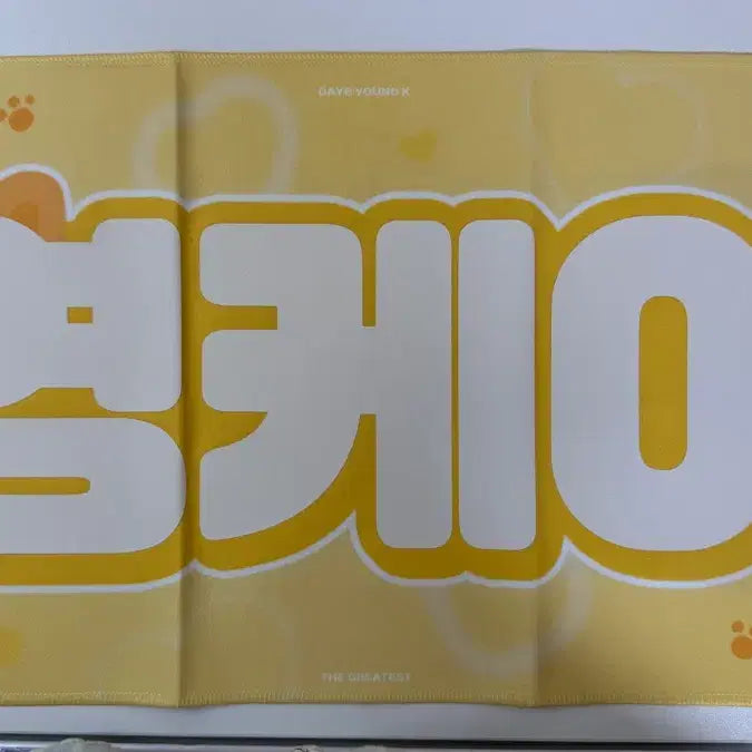 [BUNJANG] DAY6 Young K Reflective Slogan / 데이식스 영케이 반사 슬로건