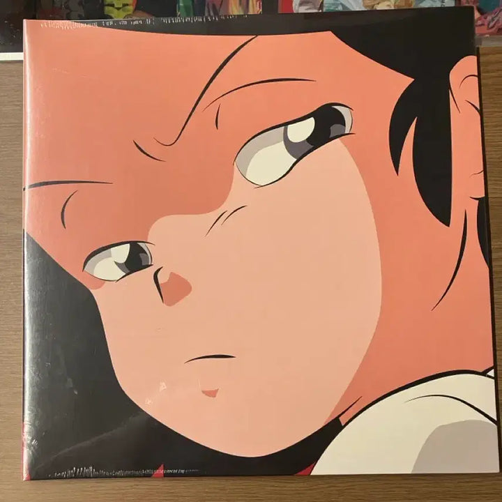 [BUNJANG] ADOY CATNIP LP (Sealed) / (미개봉) 아도이 ADOY CATNIP LP