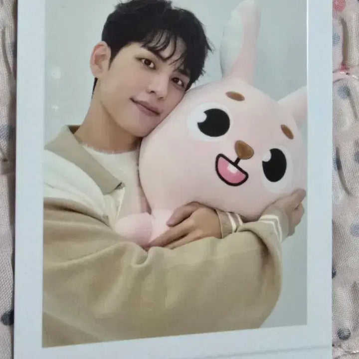 [BUNJANG] DAY6 Wonpil DENIMALS Giant Photocard / 데니멀즈 자이언트 원필 포카