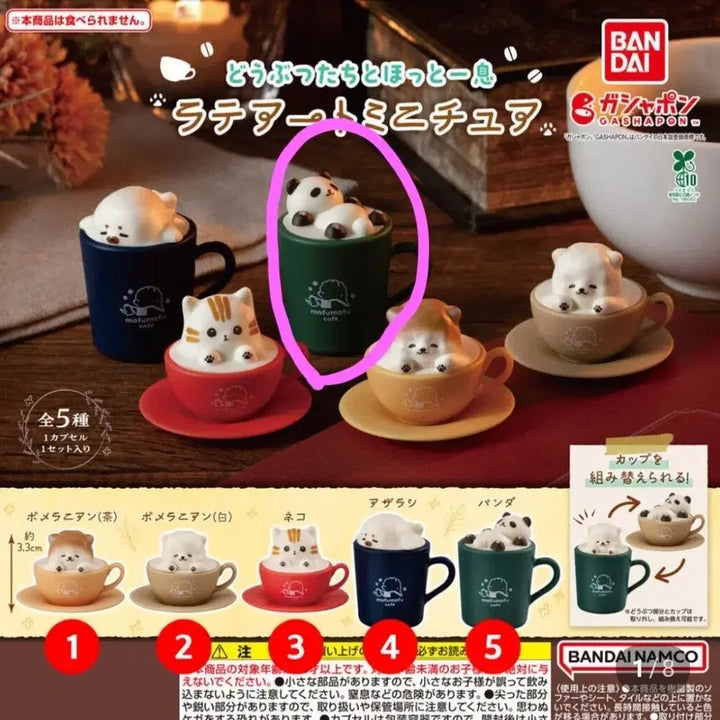 [BUNJANG] Latte Art Miniature Panda Figurine / 라떼아트 미니어처  라테아트 가챠 판다