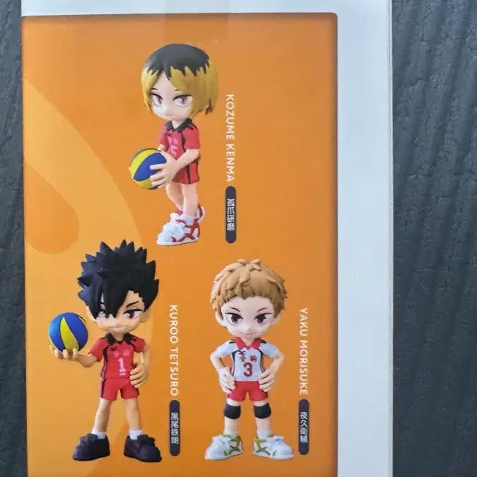 [BUNJANG] Haikyu!! Haikyuu!! Kageyama Tobio Mikasechiyu / 하이큐 팔버스 켄마 미개봉