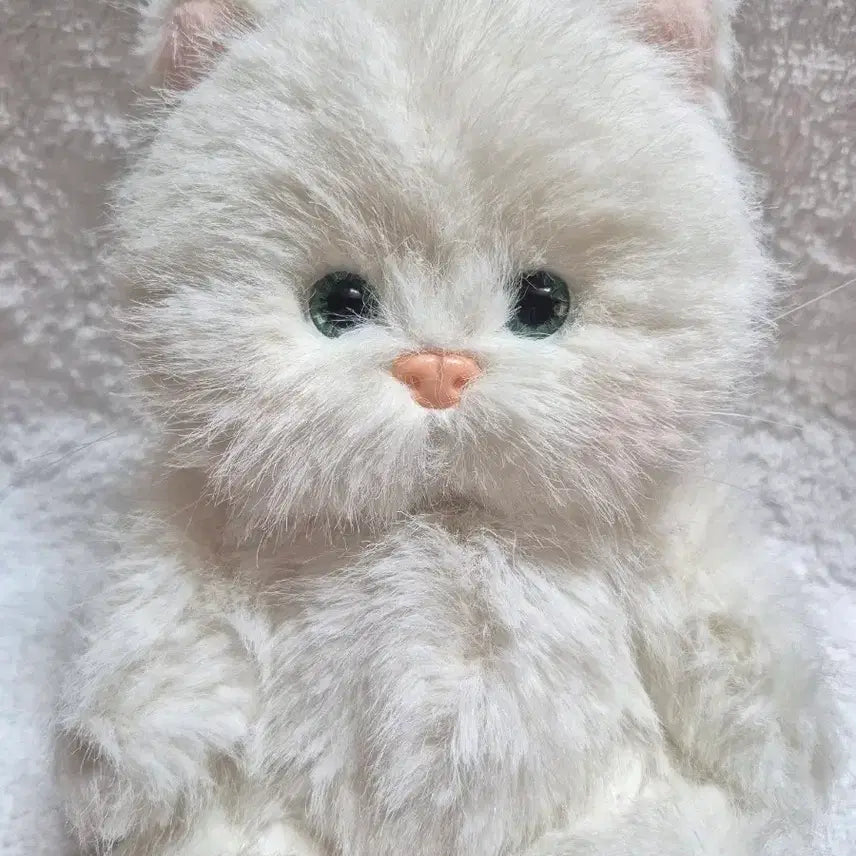 [BUNJANG] Teddy Tails Lena Cat White (S Size, 20cm) / (새상품)테디테일즈 레나캣 화이트 고양이 s사이즈 20cm