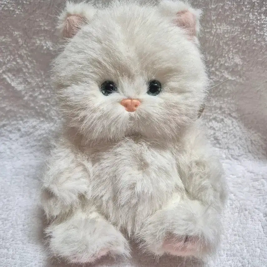 [BUNJANG] Teddy Tails Rena Cat White Cat 20cm Plush Toy / (새상품)테디테일즈 레나캣 화이트 고양이 s사이즈 20cm