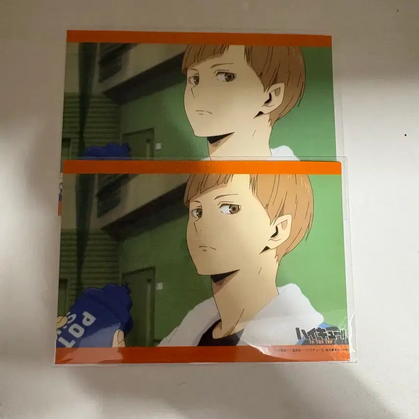 [BUNJANG] Haikyuu!! Shirabu Kenjiro Netprint / 하이큐 시라부 켄지로 넷프린트