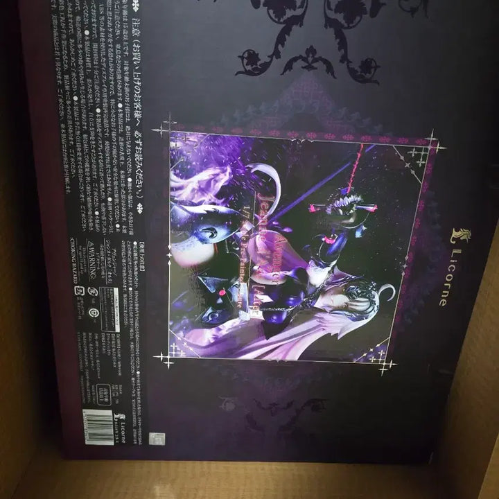 [BUNJANG] Ricohrne Fate Jeanne d&