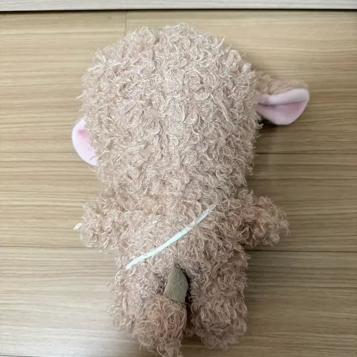 [BUNJANG] NCT Dream Jaemin 10cm Doll / 엔시티드림 재민 인형