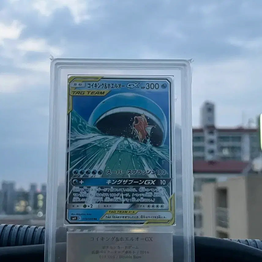[BUNJANG] Gyarados &amp; Magikarp Japanese ARS Graded 10 Trading Cards / 잉어킹&amp;고래왕 일본판 ARS10등급