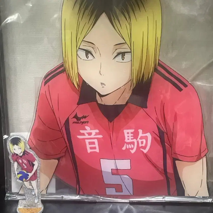 [BUNJANG] Haikyuu!! Kenma Kozume Limited Edition Large Acrylic Stand (Tokyo Pop-Up) / (미개봉) 도쿄 팝업 한정판 대형 아크릴 하이큐 켄마 굿즈
