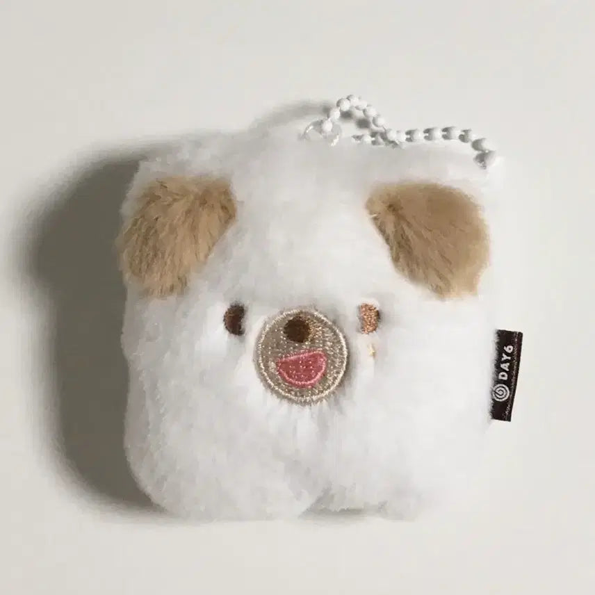 [BUNJANG] Day6 Young K Petit Mals ID Photo Holder / [미사용] 데이식스 쁘띠멀즈 돈 도운 ID 포토 홀더