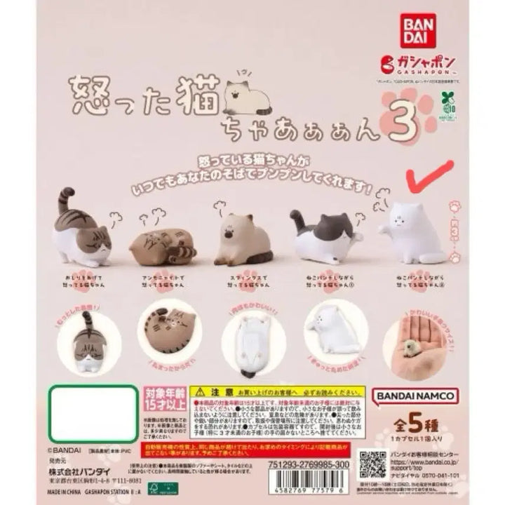 [BUNJANG] Grumpy Cat Gacha Series 3 Unsealed Capsule Toy / (미개봉) 화난 고양이 가챠 3탄