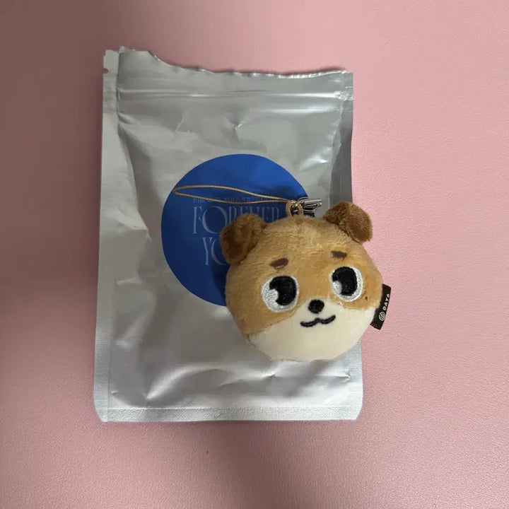 [BUNJANG] DAY6 Forever Young MD Denimals Secret Mini Face Keyring Dowoon / 데이식스 포에버영 엠디 데니멀즈 시크릿 미니 페이스 키링 도운 돈
