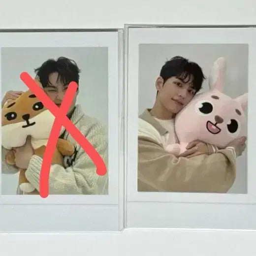 [BUNJANG] Day6 Giant Denimals Phil Photocard / 데이식스 자이언트 데니멀즈 필 (포카,택배비 포함) 양도
