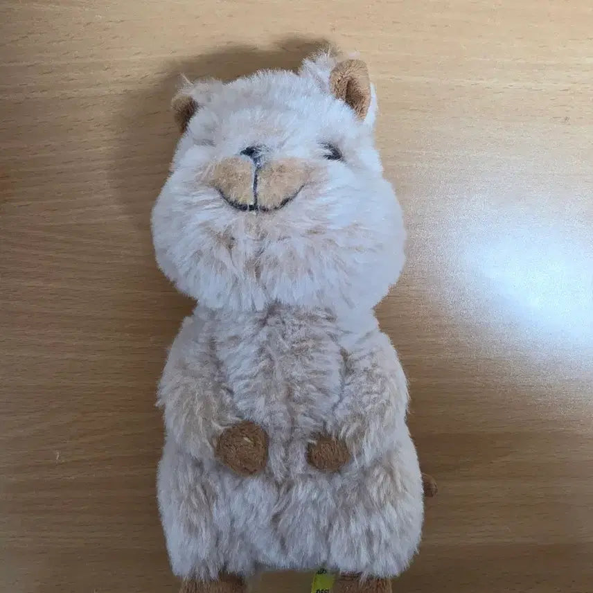 [BUNJANG] Sun Lemon Quokka Plush Doll / 선레몬 쿼카 인형