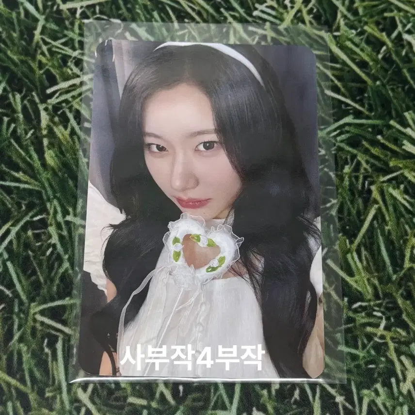 [BUNJANG] ITZY MOTTO Lucky Draw Cheyoung Photocard / 있지 모토 팝업 럭드 천사 채령 포카 럭키드로우 ms 특전 포카