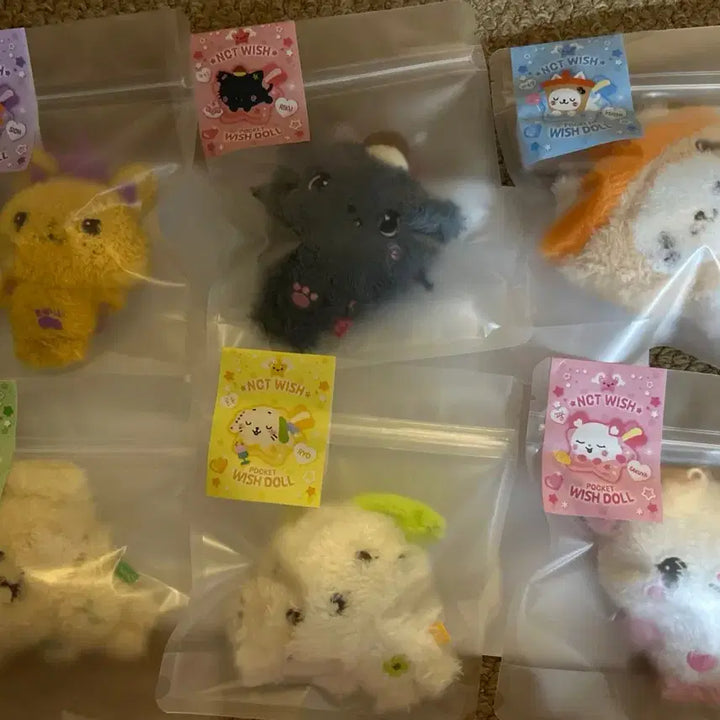 [BUNJANG] Pocket Wish Doll All Members Bundle Set Photocard / 현물 풀셋) 포켓위시돌 전멤버 풀셋 일괄 양도