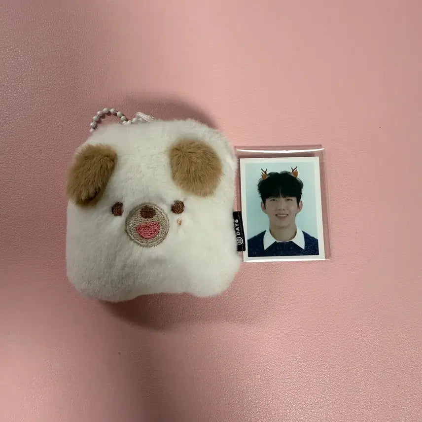 [BUNJANG] Day6 Denny-mals Young K Photocard Holder Keychain / 데이식스 데니멀즈 포토홀더 증사 키링 도운 돈