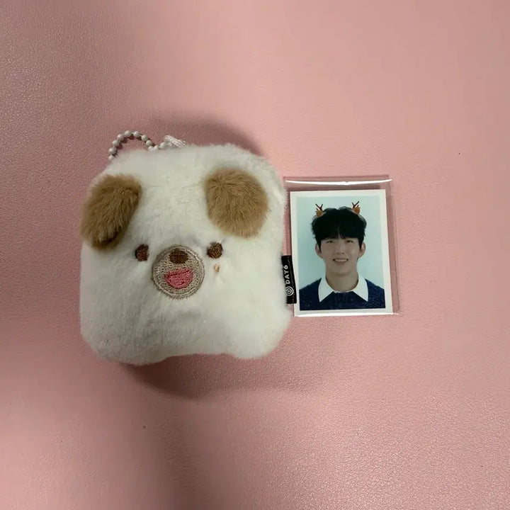 [BUNJANG] Day6 Denny-mals Young K Photocard Holder Keychain / 데이식스 데니멀즈 포토홀더 증사 키링 도운 돈