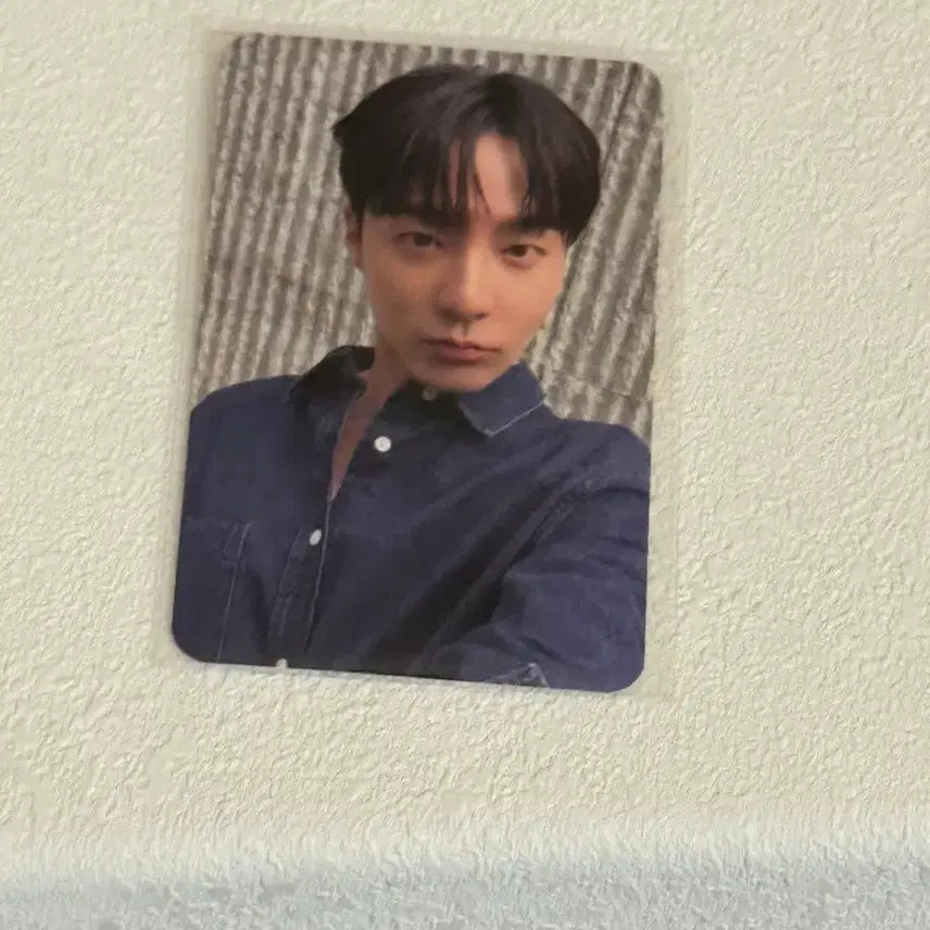 [BUNJANG] Roy Kim &
