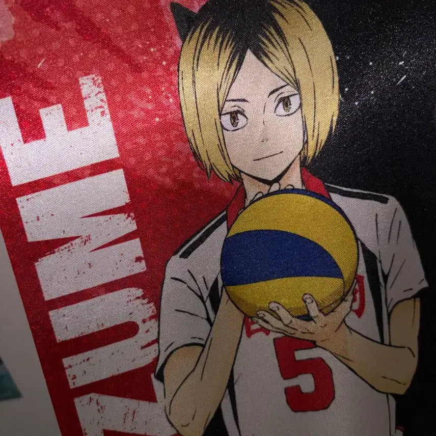[BUNJANG] Haikyuu!! Kenma Mini Tapestry / 하이큐 켄마 미니테피스트리
