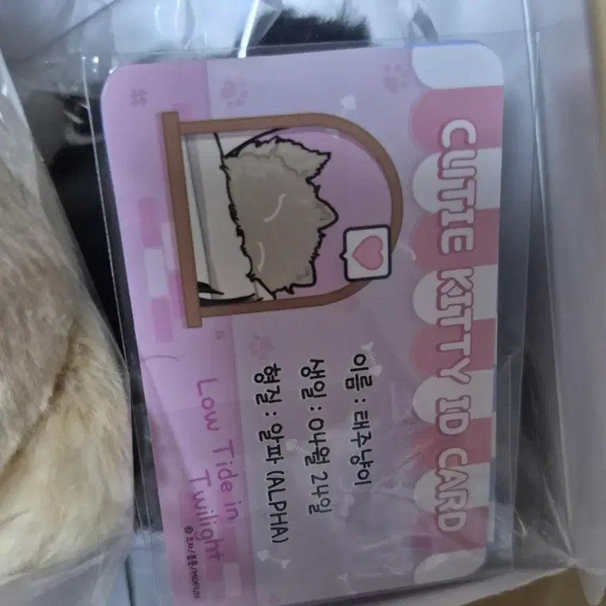 [BUNJANG] Mulgaeui Bam Mulganyangi Plush Keychain (Sealed) / 물가의 밤 물가냥이 미개봉