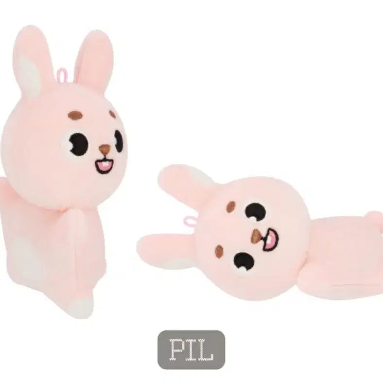 [BUNJANG] DAY6 The Present DennyMals Hand Warmer Fil / DAY6 The Present 데이식스 24클콘 데니멀즈 손난로 필