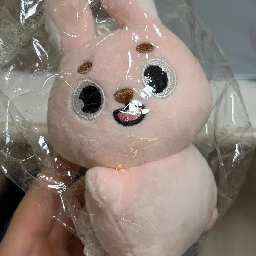 [BUNJANG] DAY6 The Present DennyMals Hand Warmer Fil / DAY6 The Present 데이식스 24클콘 데니멀즈 손난로 필