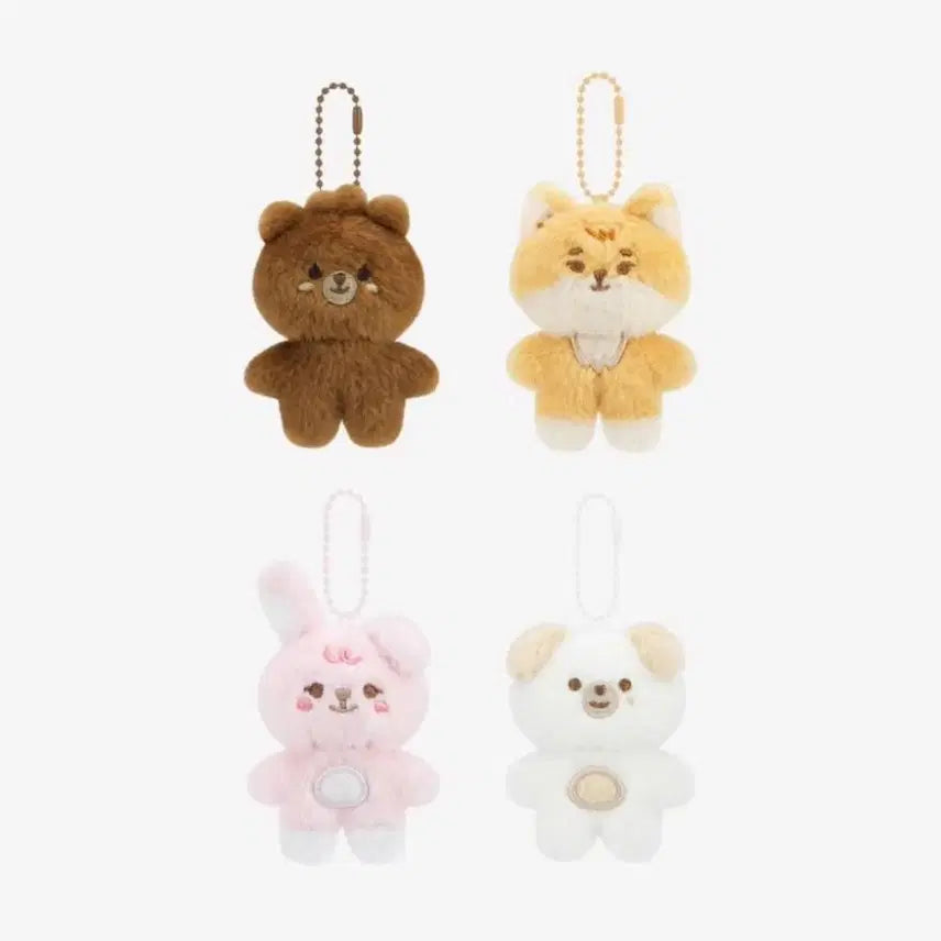 [SOLD OUT] 데이식스 쁘쁘멀 일괄