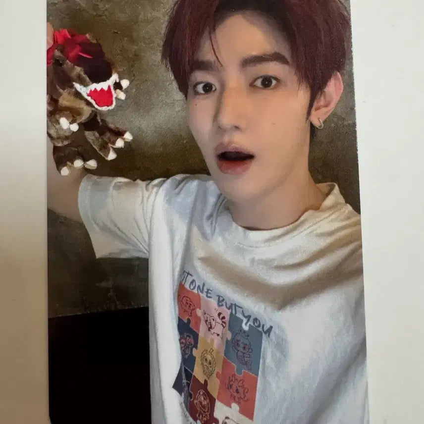 [BUNJANG] ZEROBASEONE Zb1 Never Say Never Soundwave Zhang Hao POB / 제로베이스원 zb1 never say never 사운드웨이브 장하오