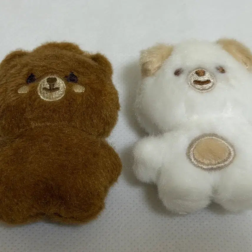 [BUNJANG] DAY6 Denimals Bbeubbeum Bal Ppunbal Bundle Set / 데이식스 데니멀즈 쁘쁘멀 방, 돈 일괄 양도