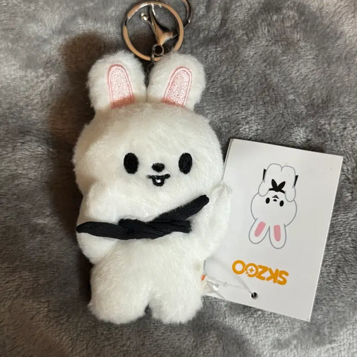 [BUNJANG] Stray Kids Lee Know Ribbit Magnet Keychain / 스키즈 리노 스키주 리빗 마그넷 키링 양도합니다