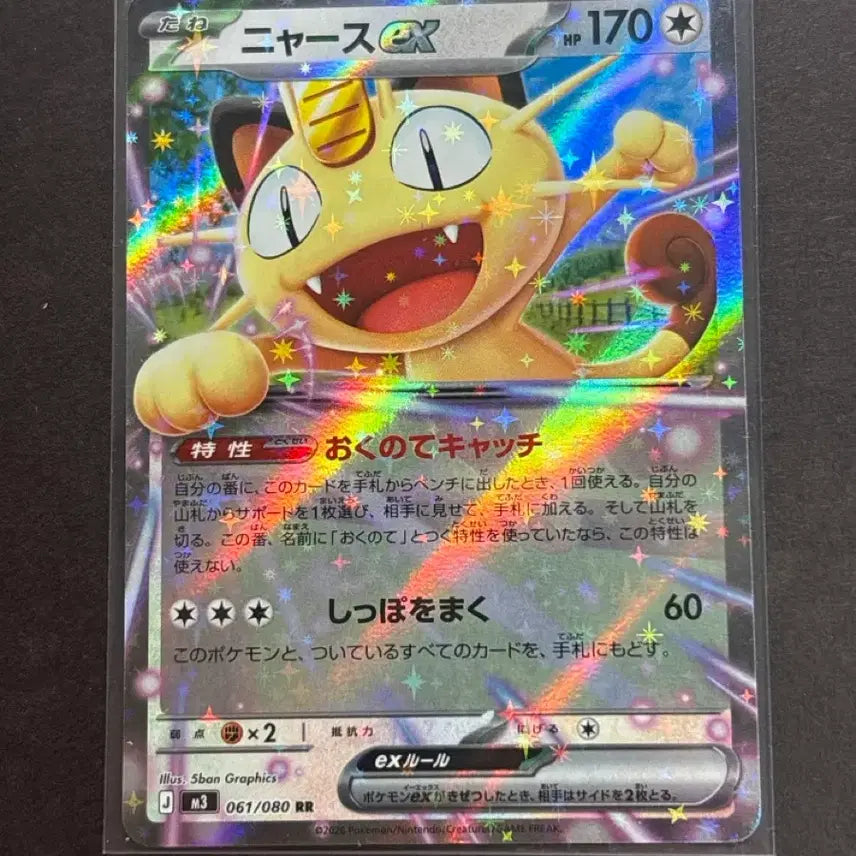 [BUNJANG] Naong SAR/RR Card / 나옹ex 일판 SAR, RR 상태 좋음