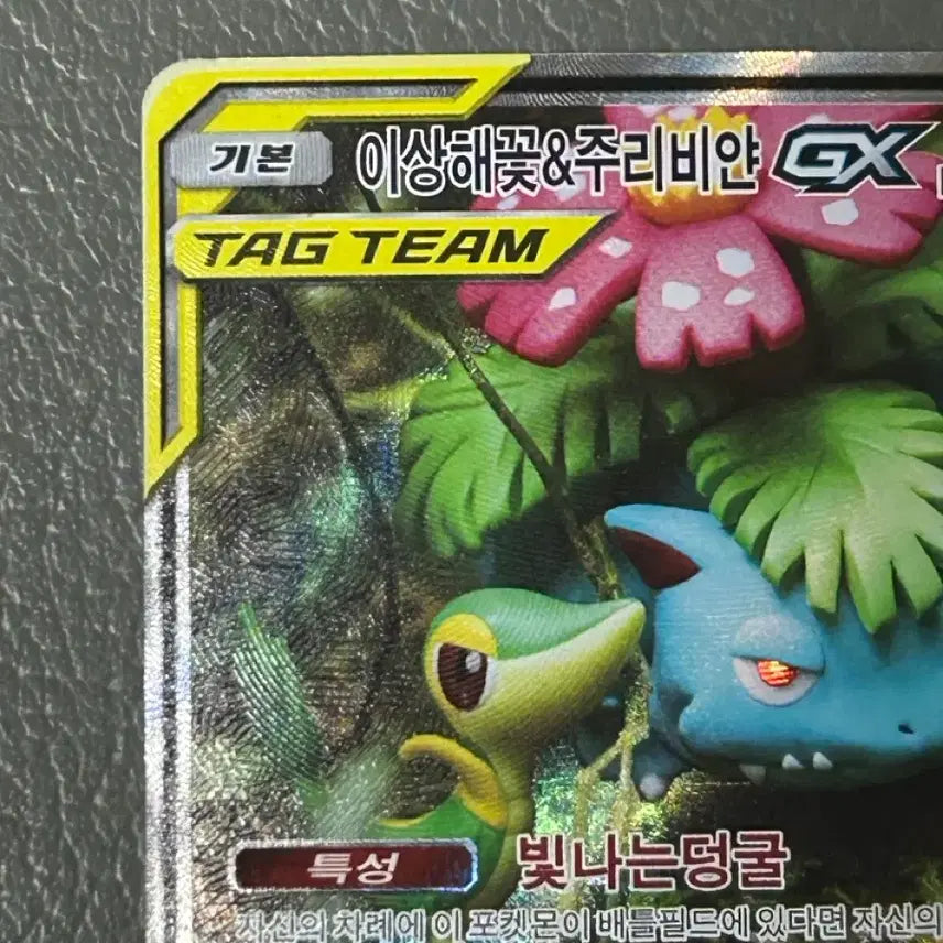 [BUNJANG] Pokémon Card Venusaur &amp; Bulbasaur GX SR Special Illustration / 포켓몬카드 이상해꽃&amp;주리비얀 GX sr 태그팀 특일