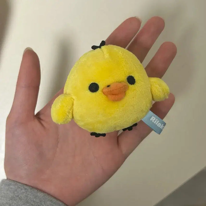 [BUNJANG] Kiiroitori Basic Plush / 키이로이토리 베이직