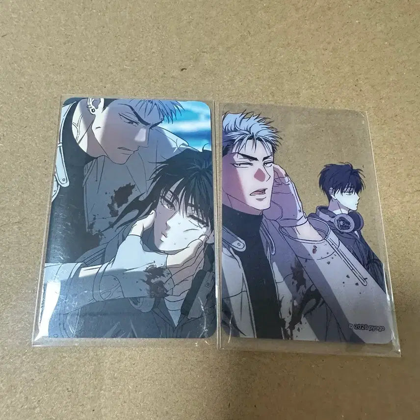 [BUNJANG] Resin Sparkles R2R Photocard 10 Special / 레진 스파클즈 팝업 R2R 10특 포카 포토카드 10만원 특전 양도