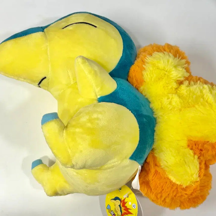 [BUNJANG] Pokemon Charizard Medium Plush 25cm (New) / 최저가! 포켓몬스터 정품 브케인 중형 인형 25cm (새상품)