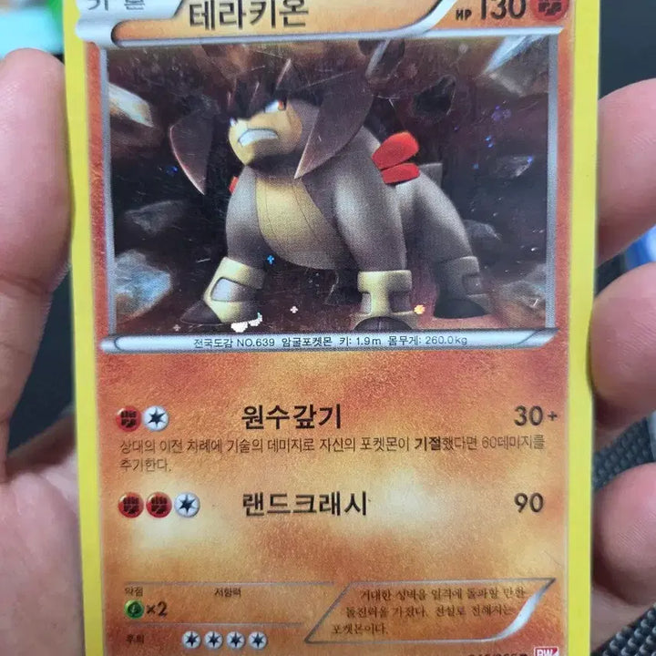 [BUNJANG] Pokemon Cards Lucario Holo XY DP / 포켓몬 카드 XY,DP  루카리오 홀로 외 판매합니다~