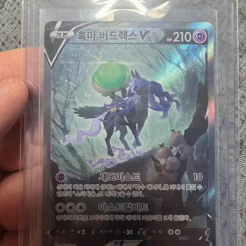 [BUNJANG] Pokemon Card Calyrex Shadow Rider V Special Illustration / 포켓몬카드 흑마 버드렉스 V 특일