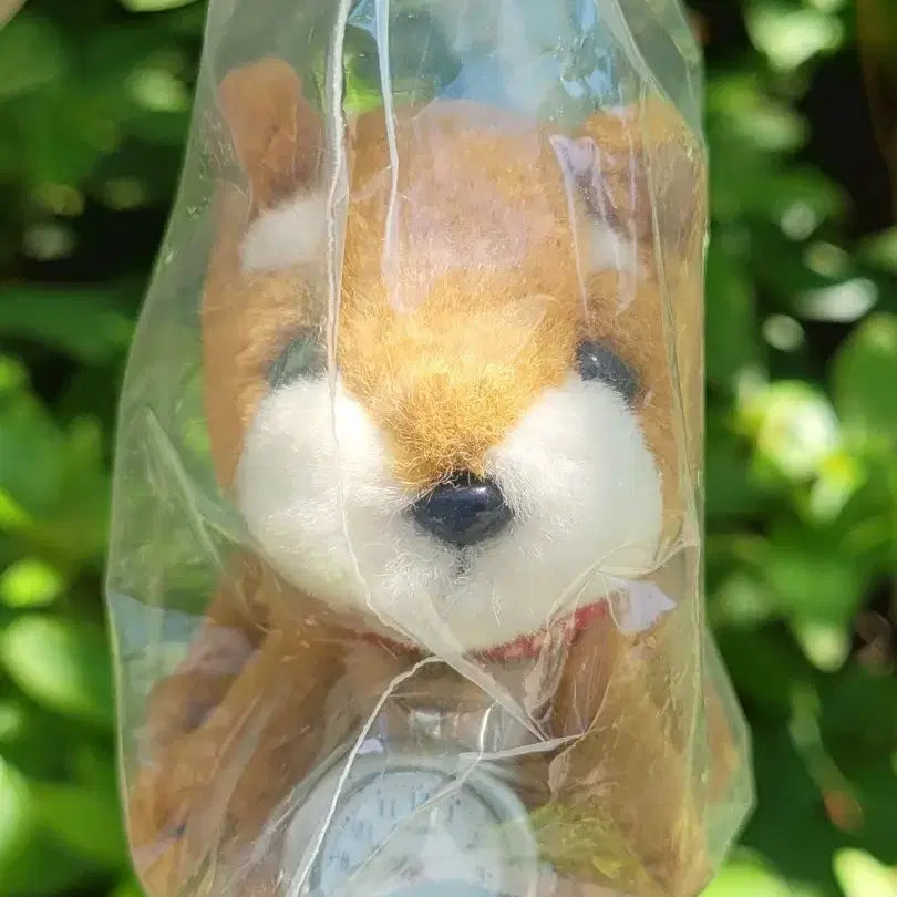 [BUNJANG] Vintage Dog Plush Keychain with Watch Charm / 빈티지 강아지 인형 키링